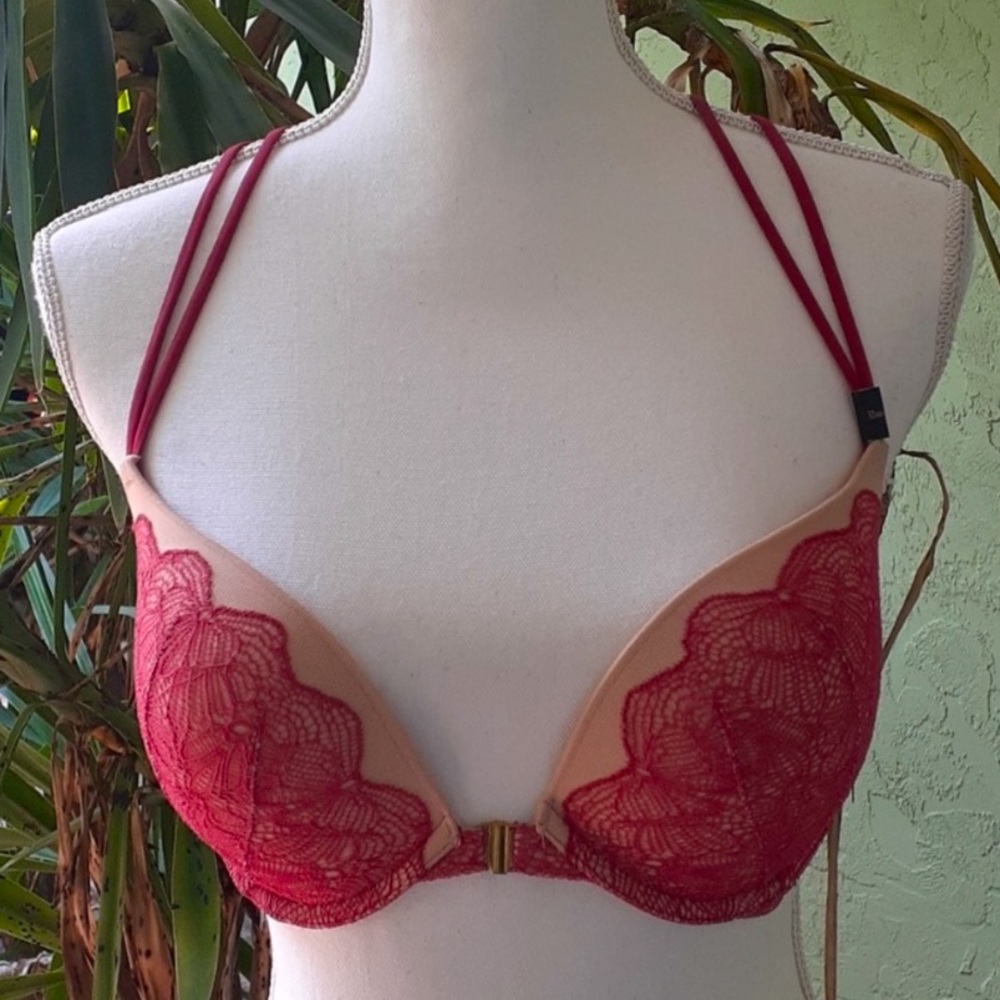 Mauve Red Nude Lace Push Up Bra